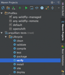 Java EE integration test con Arquillian: Intellij Select Maven Profile